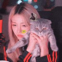 Serious Cute Girl GIF