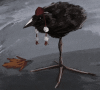 Bird Aya GIF