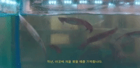 GIF by Gallant