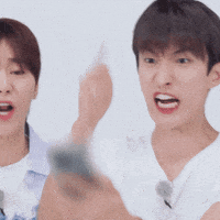 Dk 세븐틴 GIF