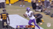 Minnesota Vikings Football GIF by NFL