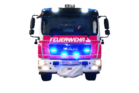 Fire Wolfsburg Sticker by design112
