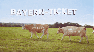 Bayern Db GIF by Bayern-Ticket