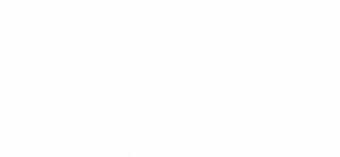 GIF by Legal Services of North Florida