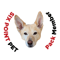 tomsixpoint  Sticker