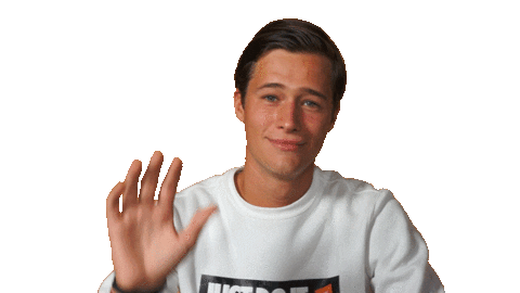 Hollands Next Top Model Reaction Sticker by RTL