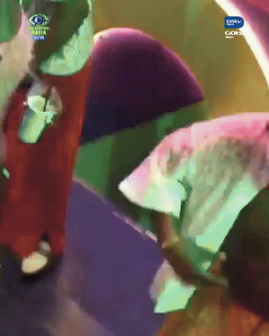 Bbnaija GIF by Big Brother Naija