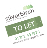 ExpectBest let to let silverbirch Sticker