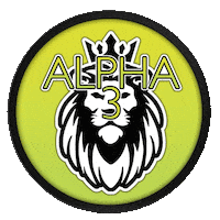 Alpha 3 New Post Sticker by Alpha 3 Masonry And Remodel