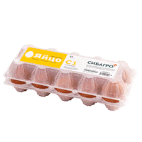 Egg Sticker by sibagro