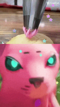 Cat Pink GIF by Marathon