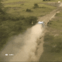Driving Ford GIF by FIA World Rally Championship