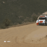 Sport Driving GIF by FIA World Rally Championship