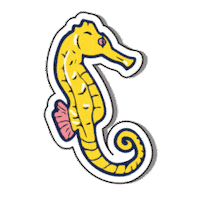 cebu city summer Sticker by Sun