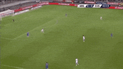 GIF by The Telegraph