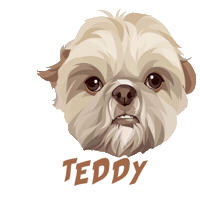 Dog Teddy Sticker