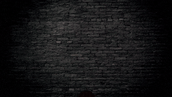 Wake Up Motorsport GIF by Cinisio Racing