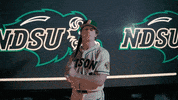 Ndsu Baseball GIF by NDSU Athletics