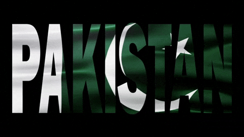 Pakistan Pakistan Flag GIF