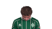 Werder Bremen Sticker by Bundesliga
