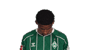 Werder Bremen Musah Sticker by Bundesliga