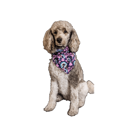 Spirited Away Sakura Sticker by Geekster Pets