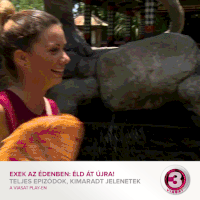ex on the beach monkey GIF by VIASAT3