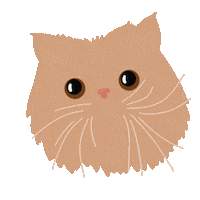 graceatwood cat meow graceatwood thestripe Sticker