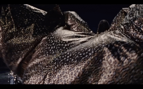 Beyonce Africa GIF by CRWNMAG