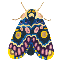 Butterfly Bug Sticker