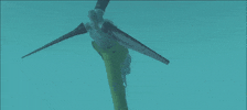 sea mar iberdrola sea blades aspas mar GIF