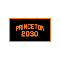 Princeton 2030 Sticker by Princeton University
