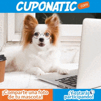 Cuponatic cuponatic GIF