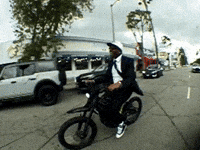 Wolf Bass GIF by IDK