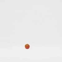 Cat Staring GIF by Petsure UK