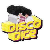 Party Festival Sticker by DISCO DICE