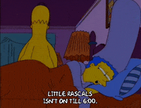 homer simpson television GIF