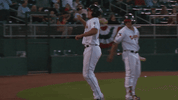 minor league baseball GIF by Lansing Lugnuts