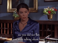 season 3 netflix GIF by Gilmore Girls 