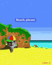 Cat Meme Beach Vibe GIF by Furrend