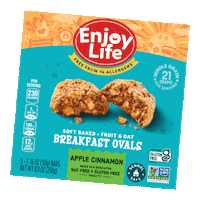 Gluten Free Apple Sticker by Enjoy Life Foods