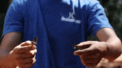 Butterfly GIF by JC Property Professionals