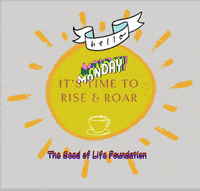 New Day Hello GIF by The Seed of Life Foundation