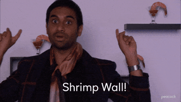 Parks And Recreation Entertainment 720 GIF by PeacockTV