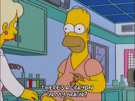 homer simpson GIF