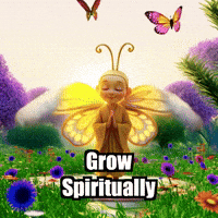 Growth Evolution GIF by BuddhaFlyJourney
