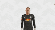 The Wall No GIF by RB Leipzig