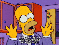 homer simpson episode 6 GIF