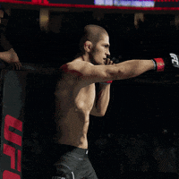 conor mcgregor champion GIF by EA SPORTS UFC