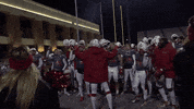 Miamioh GIF by Miami RedHawks Football